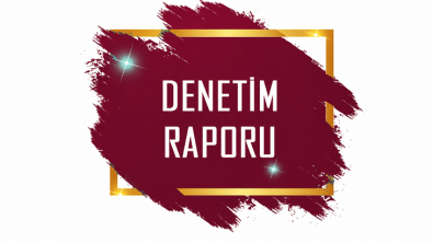 T.C. İÇİŞLERİ BAKANLIĞI MAHALİ İDARELER KONTROLÖRLÜĞÜ 2024-2026 YILLARI ARASI DENETİM RAPORU