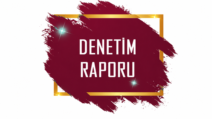 T.C. İÇİŞLERİ BAKANLIĞI MAHALİ İDARELER KONTROLÖRLÜĞÜ 2026 YILI DENETİM RAPORU