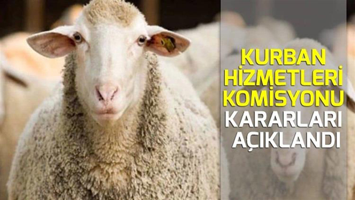 2025 YILI PERTEK KAYMAKAMLIĞI KURBAN HİZMETLERİ KOMİSYONU KARARLARI